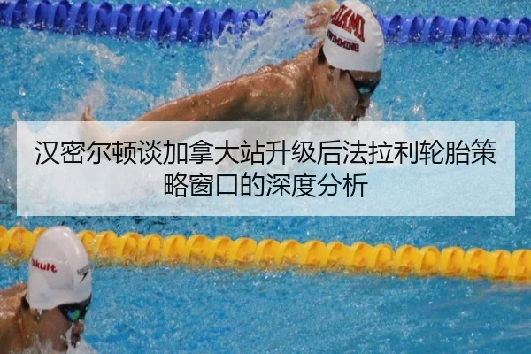 han-mi-er-dun-tan-jia-na-da-zhan-sheng-ji-hou-fa-la-li-lun-tai-ce-lve-chuang-kou-de-shen-du-fen-xi-2-621.jpg
