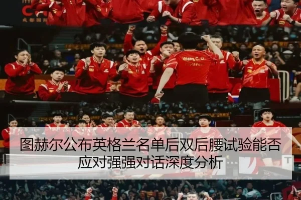 tu-he-er-gong-bu-ying-ge-lan-ming-dan-hou-shuang-hou-yao-shi-yan-neng-fou-ying-dui-qiang-qiang-dui-hua-shen-du-fen-xi-2-933.jpg